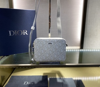 DIOR Handbags 1147